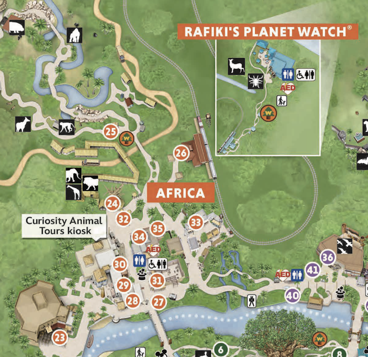 2024 Disney s Animal Kingdom Map Printable PDF Details 