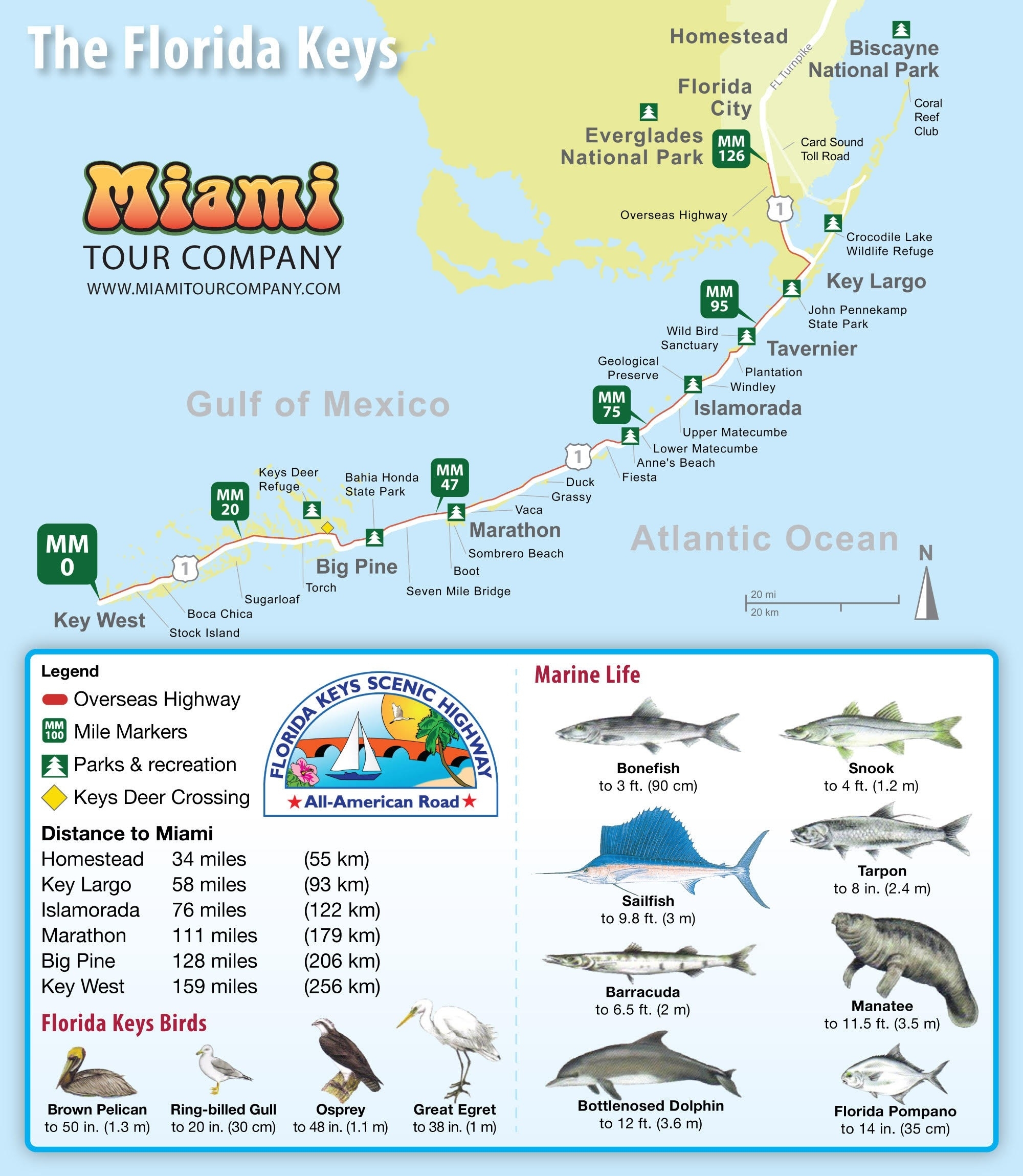 printable key west map