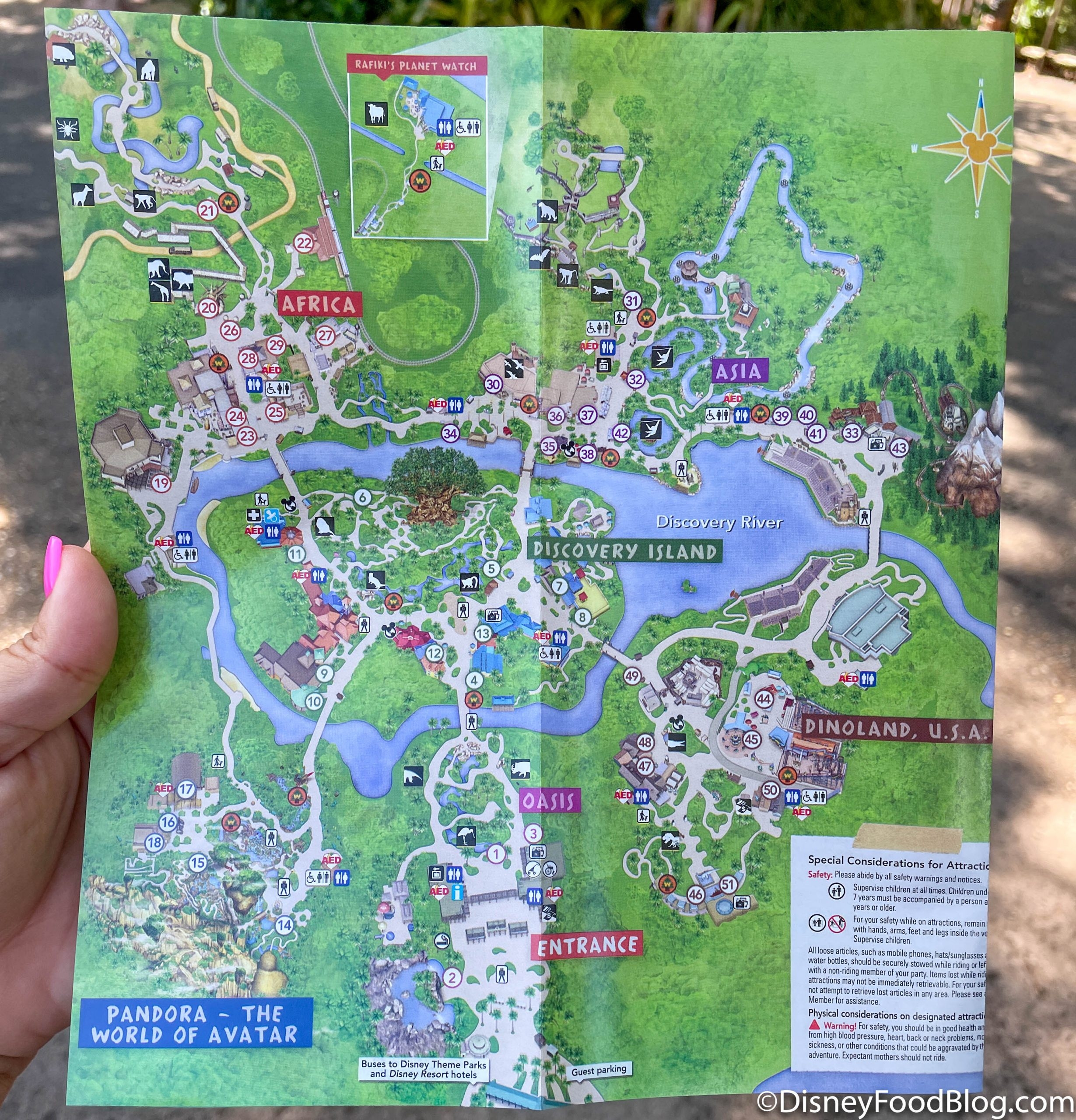 PHOTOS See Animal Kingdom s NEW Park Map The Disney Food Blog