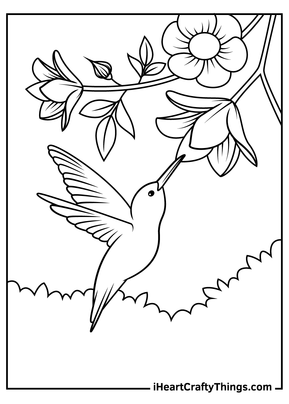 Free Printable Hummingbird Pictures