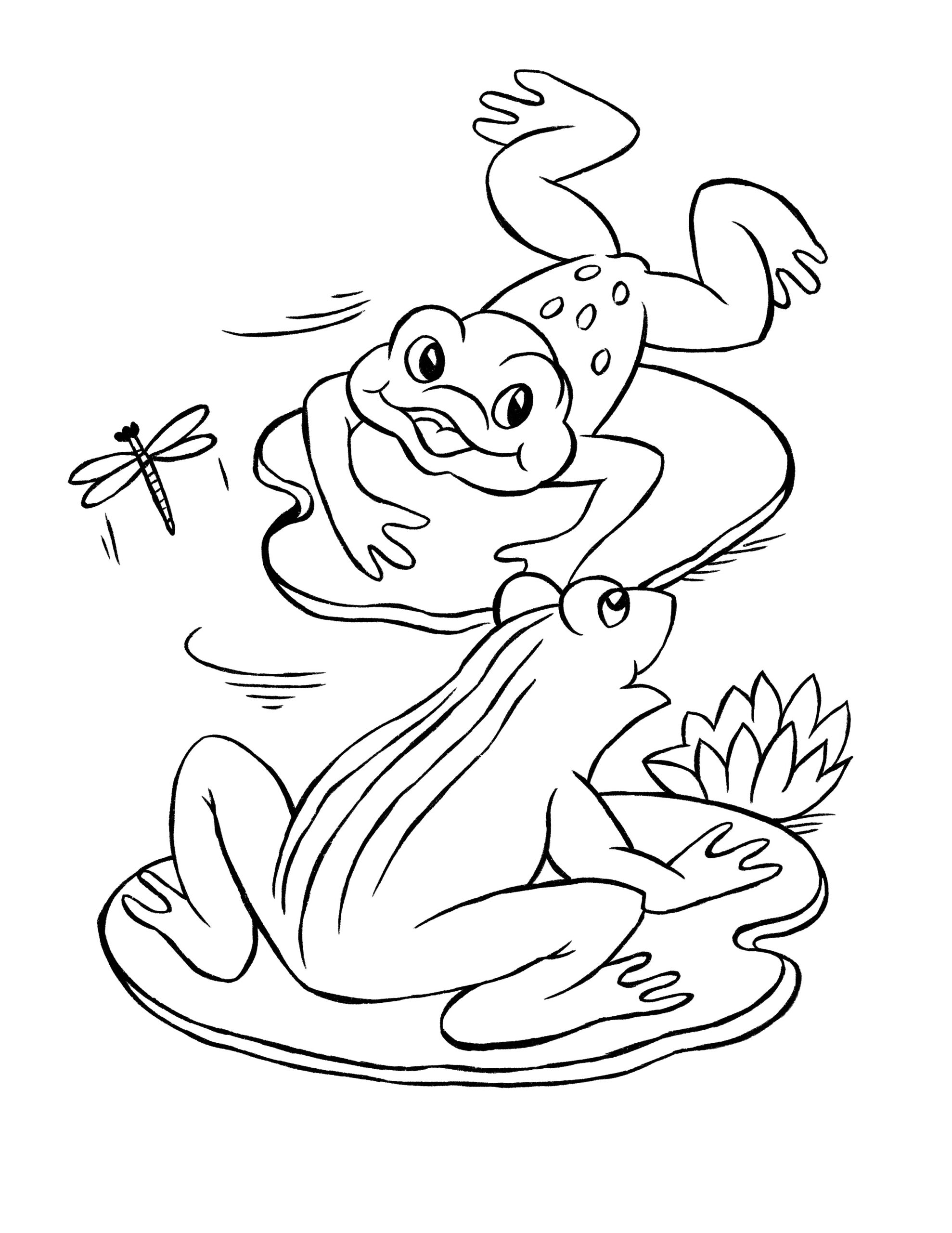 4 Frog Coloring Pages The Graphics Fairy