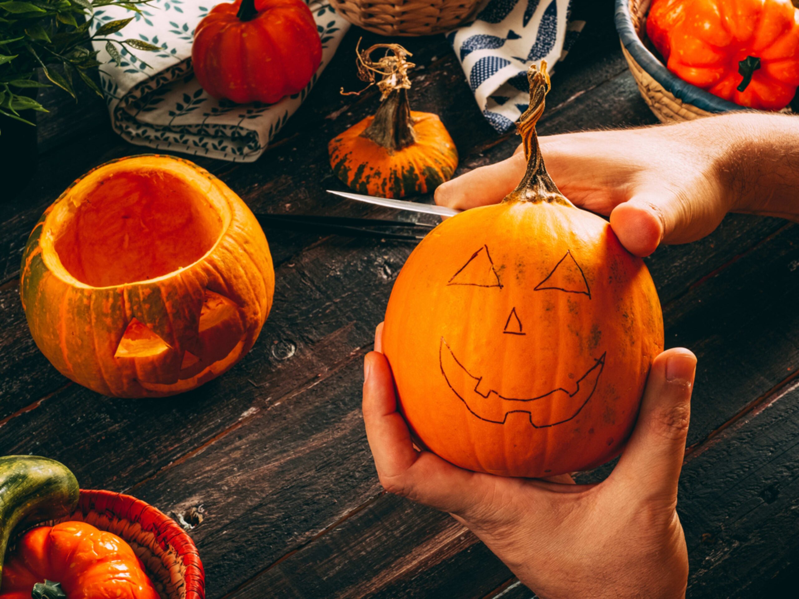 printable pumpkin pattern
