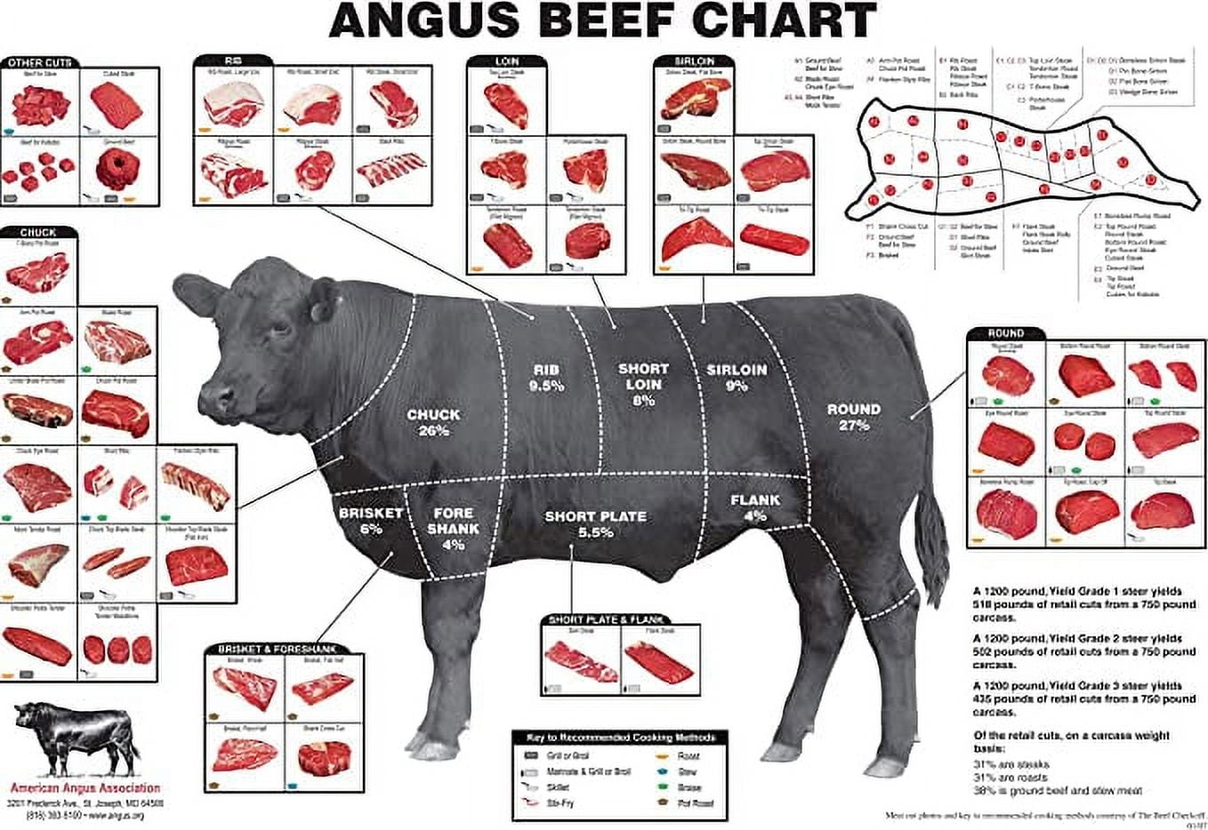Beef Cut Diagram