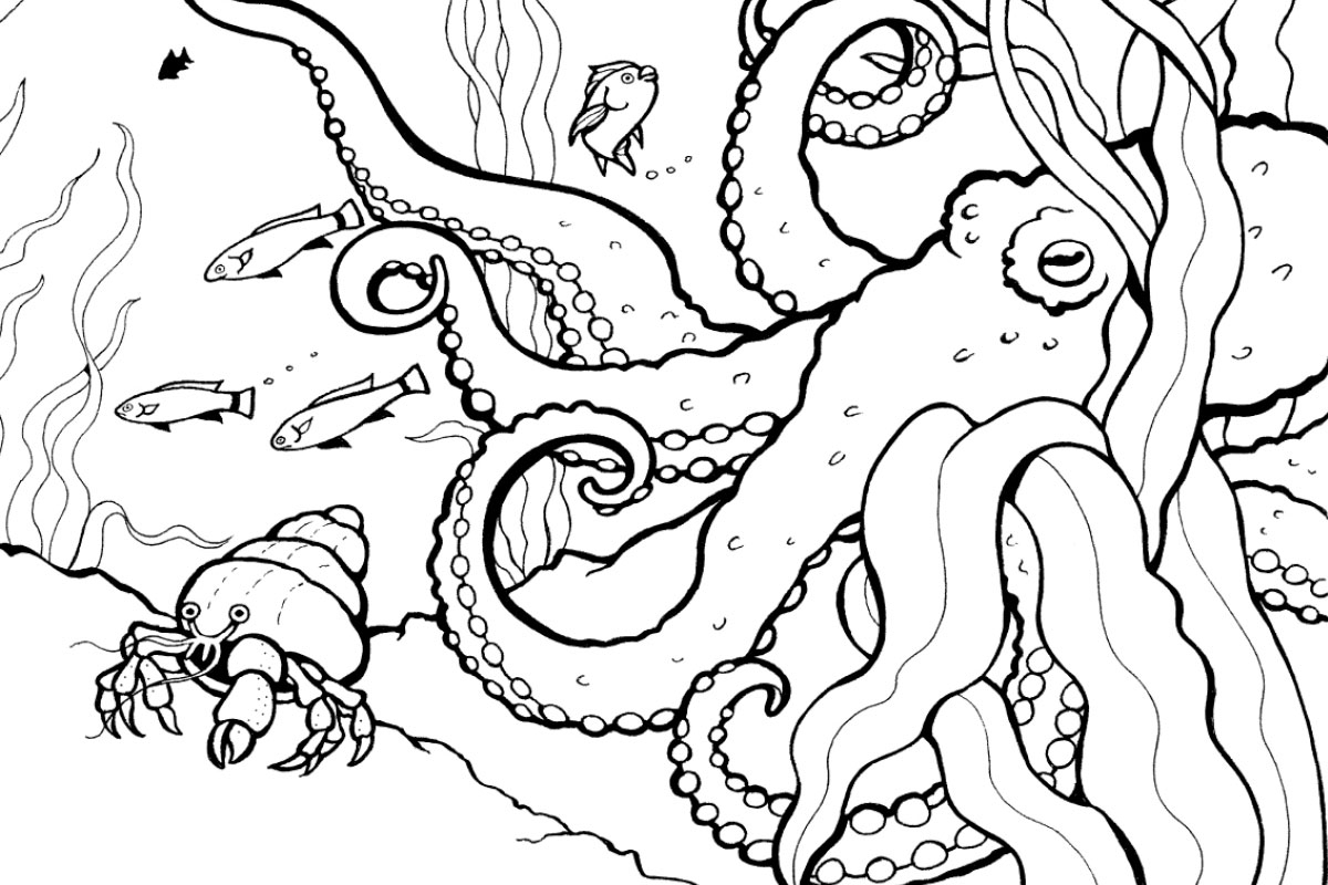 Ocean Coloring Pages Free Printable