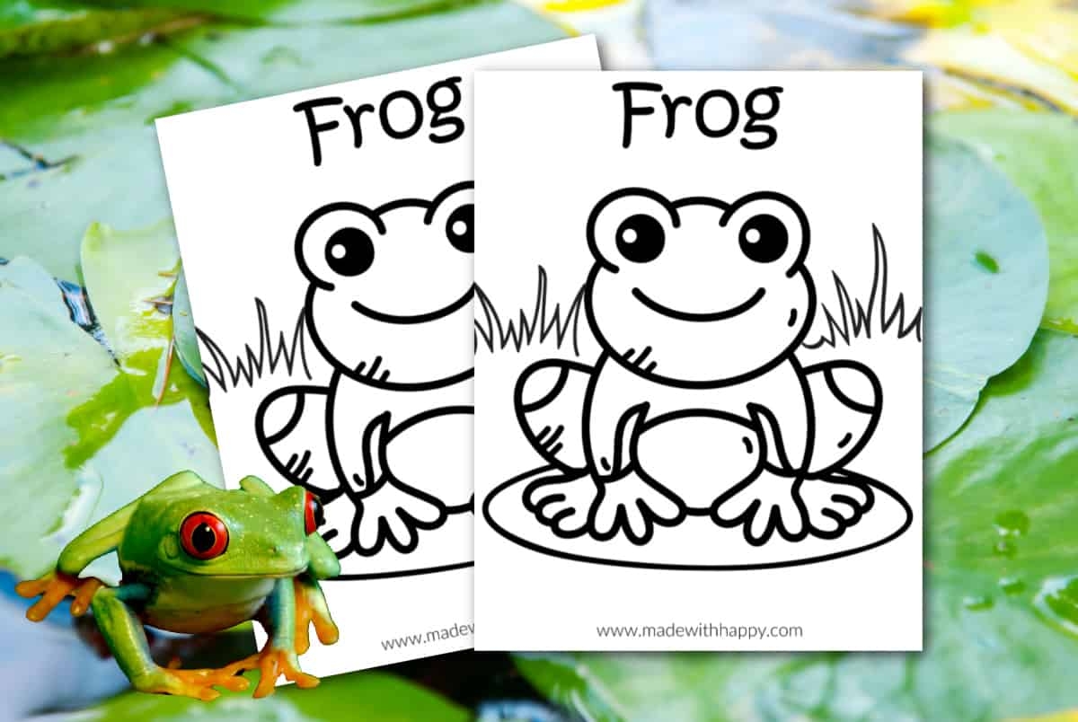 frog coloring sheets printable
