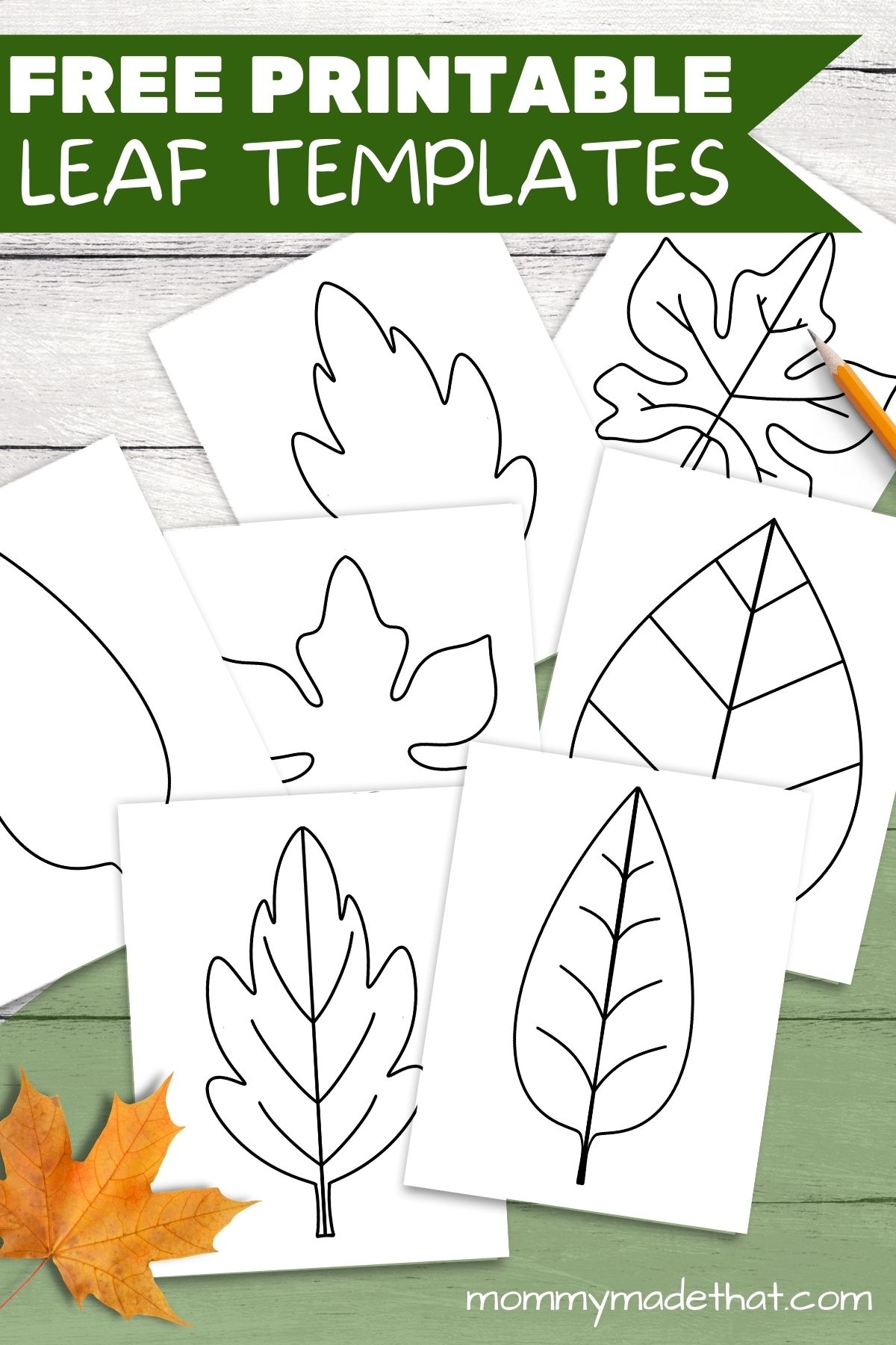 Free Printable Fall Leaves Template