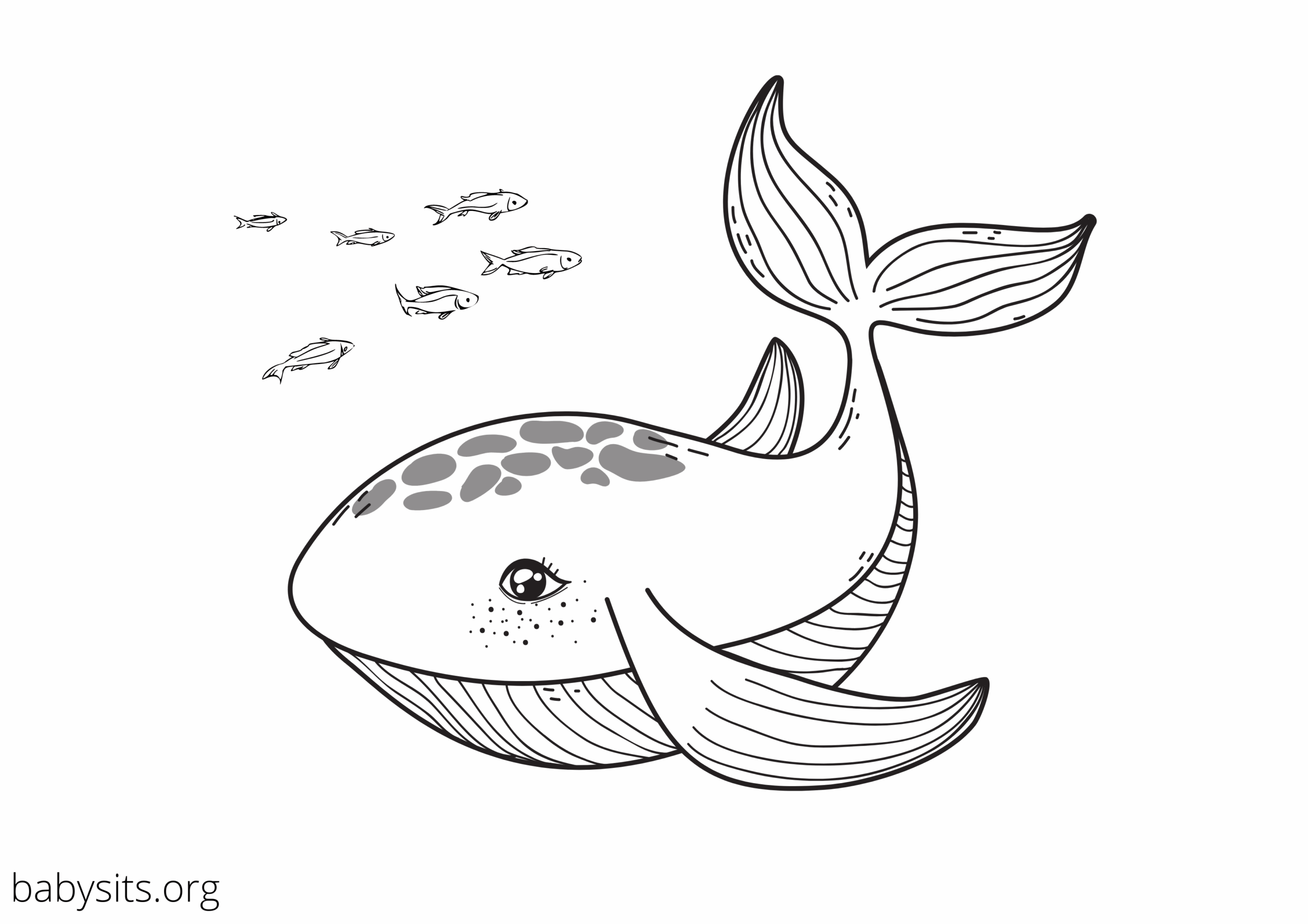 Free Printable Coloring Pages Sea Creatures