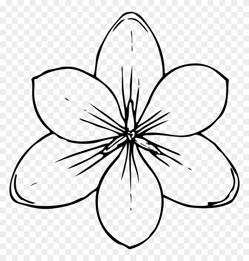 flower templates printable