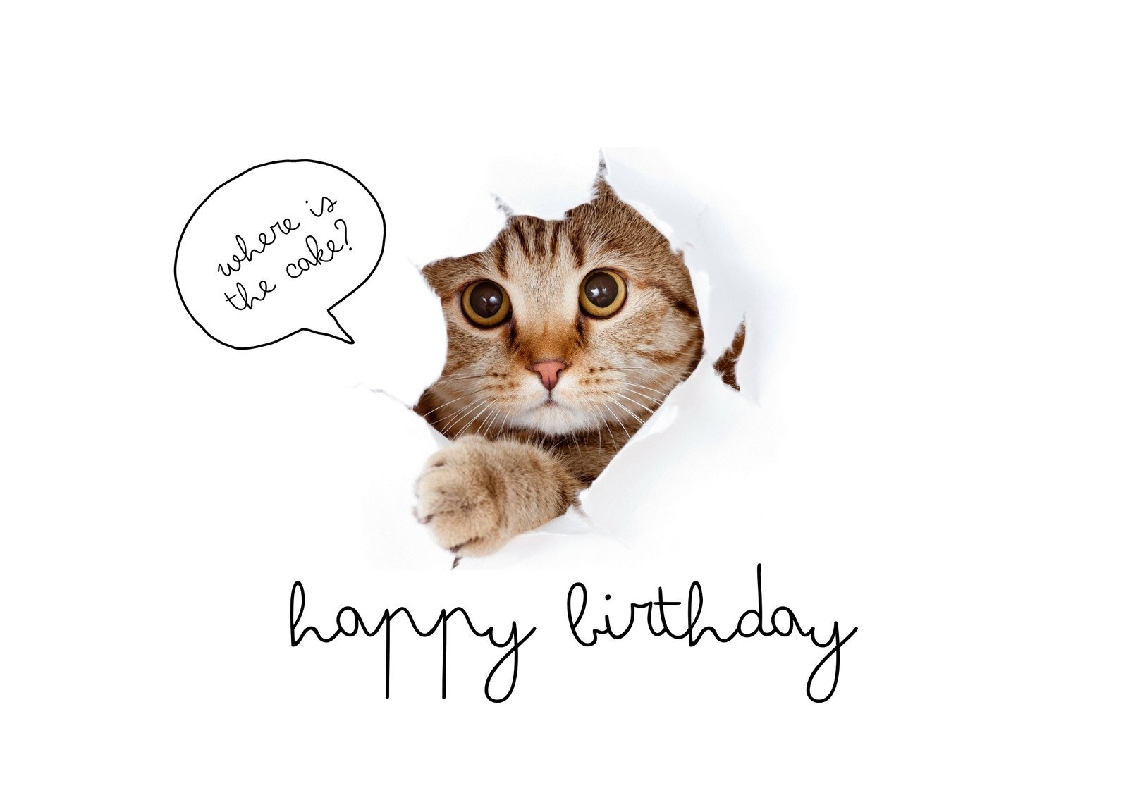 Free Funny Printable Greeting Cards