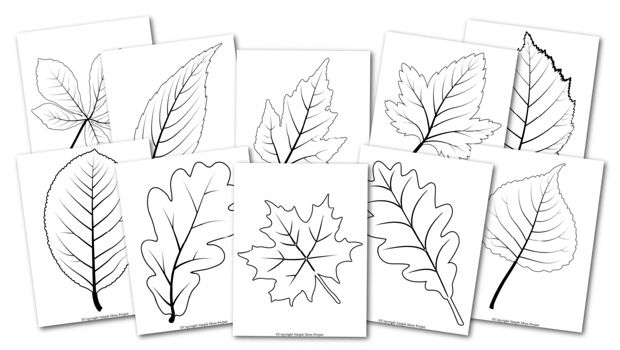 printable fall leaf patterns