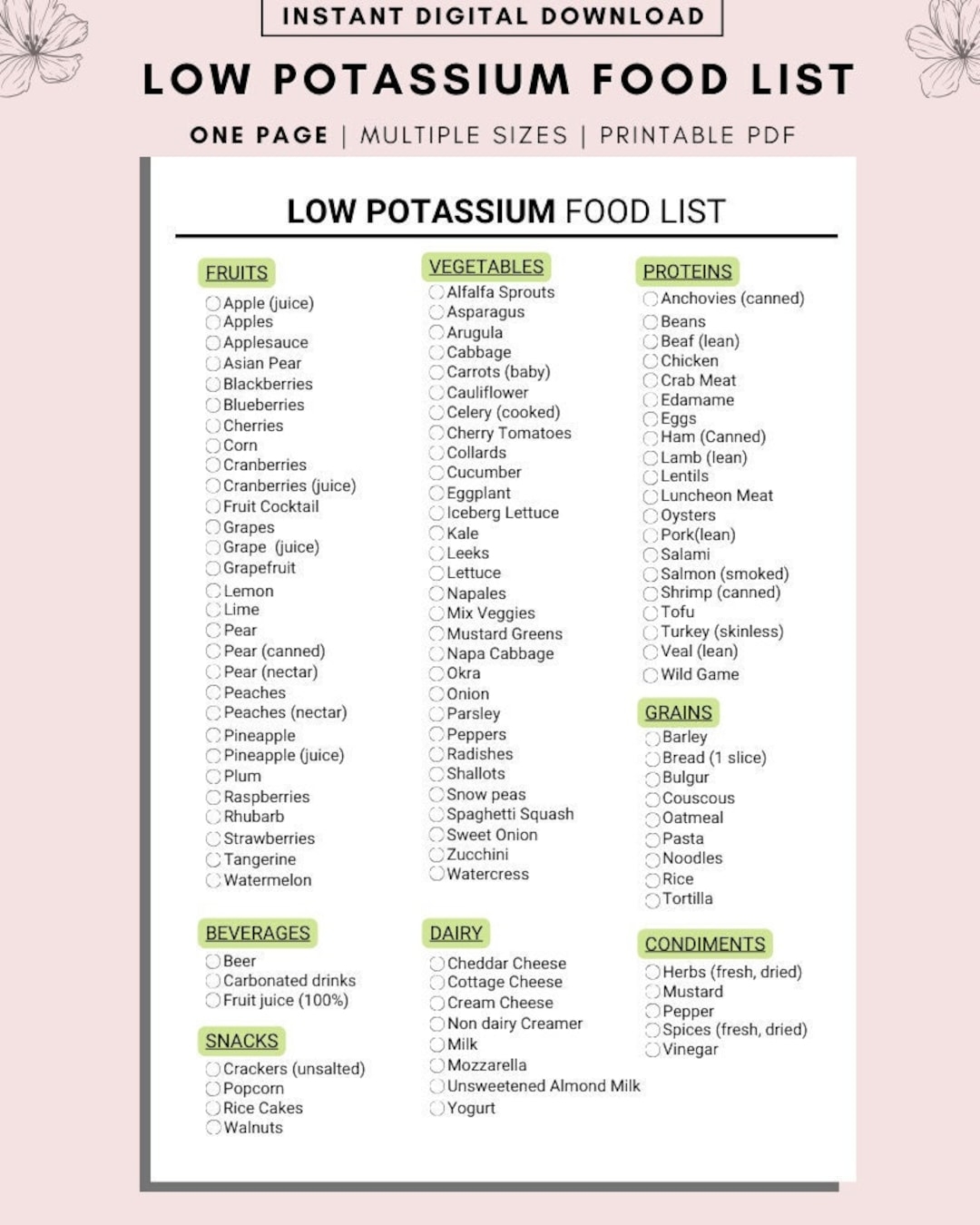 Low Potassium Food List Renal Diet Guide digital Download Etsy