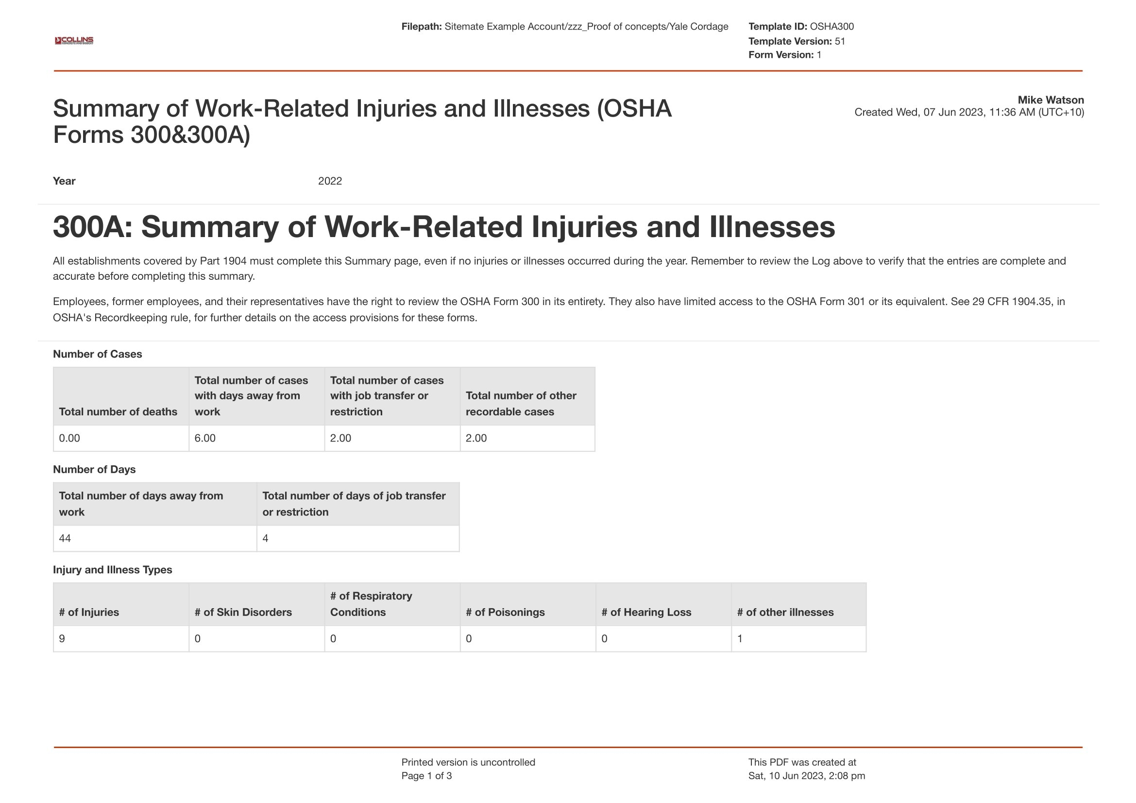 Osha 300 Printable Form