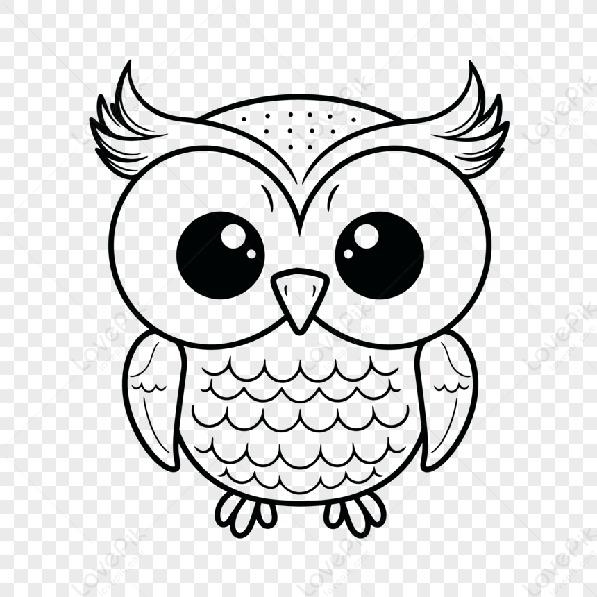 owl outline printable