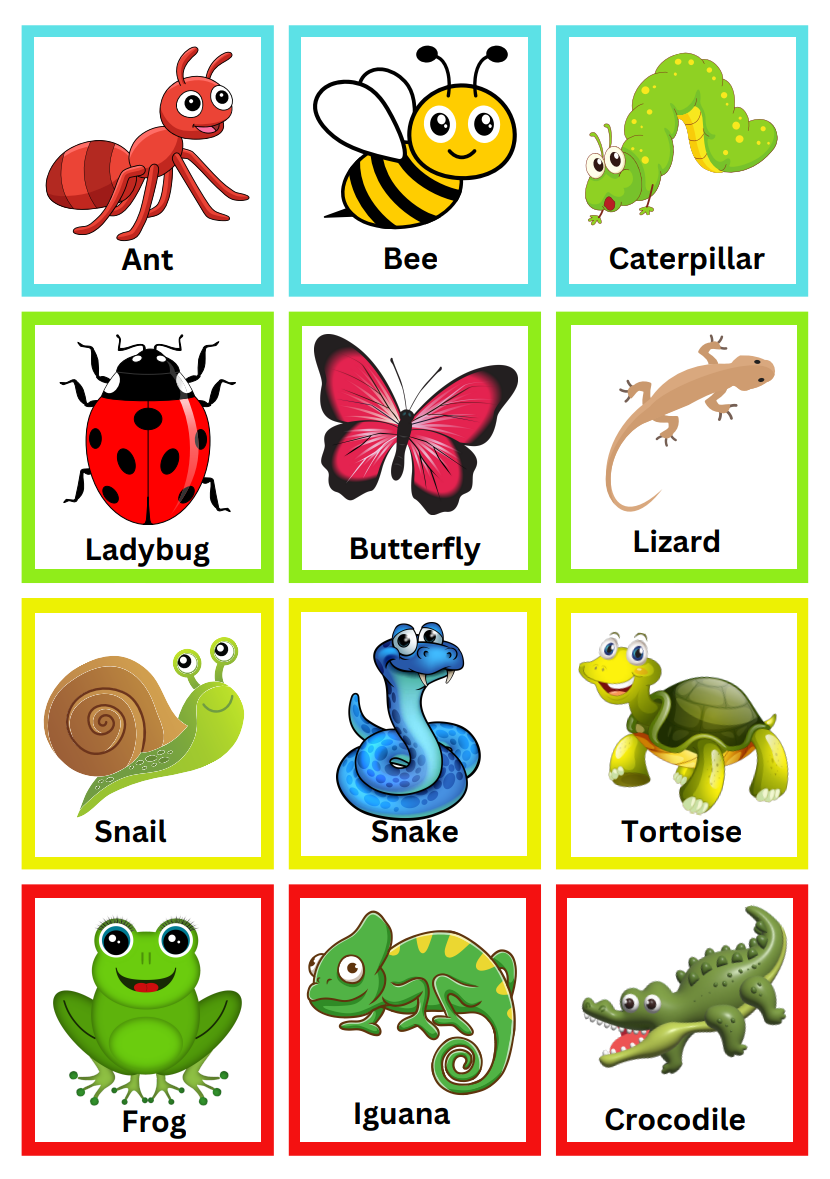 Printable Insect Pictures