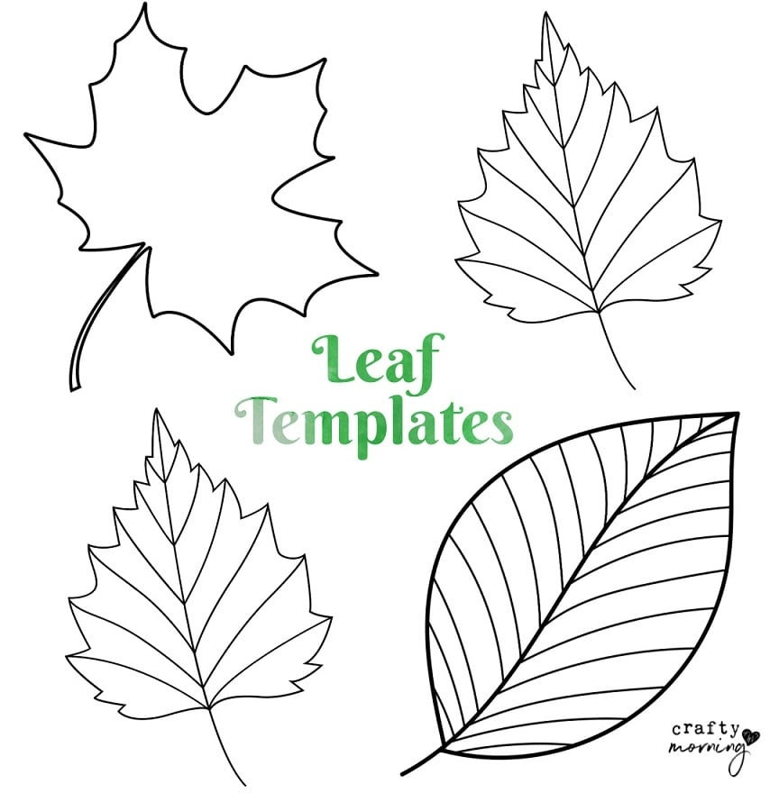 Printable Leaf Template