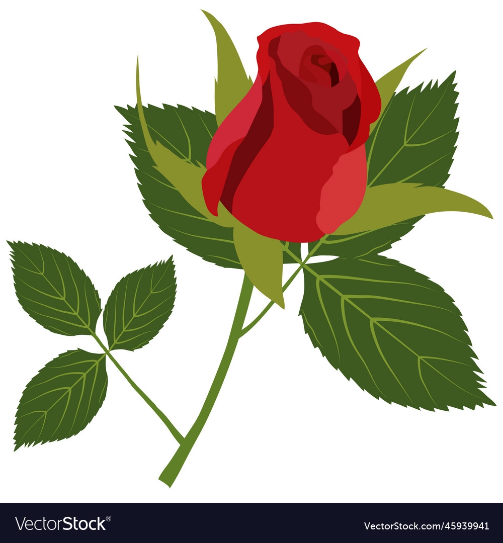 Rose Artwork And Printable Svg File Royalty Free Vector