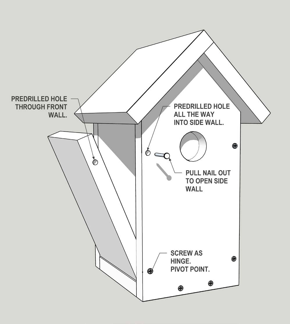 Free Printable Bird House Plans