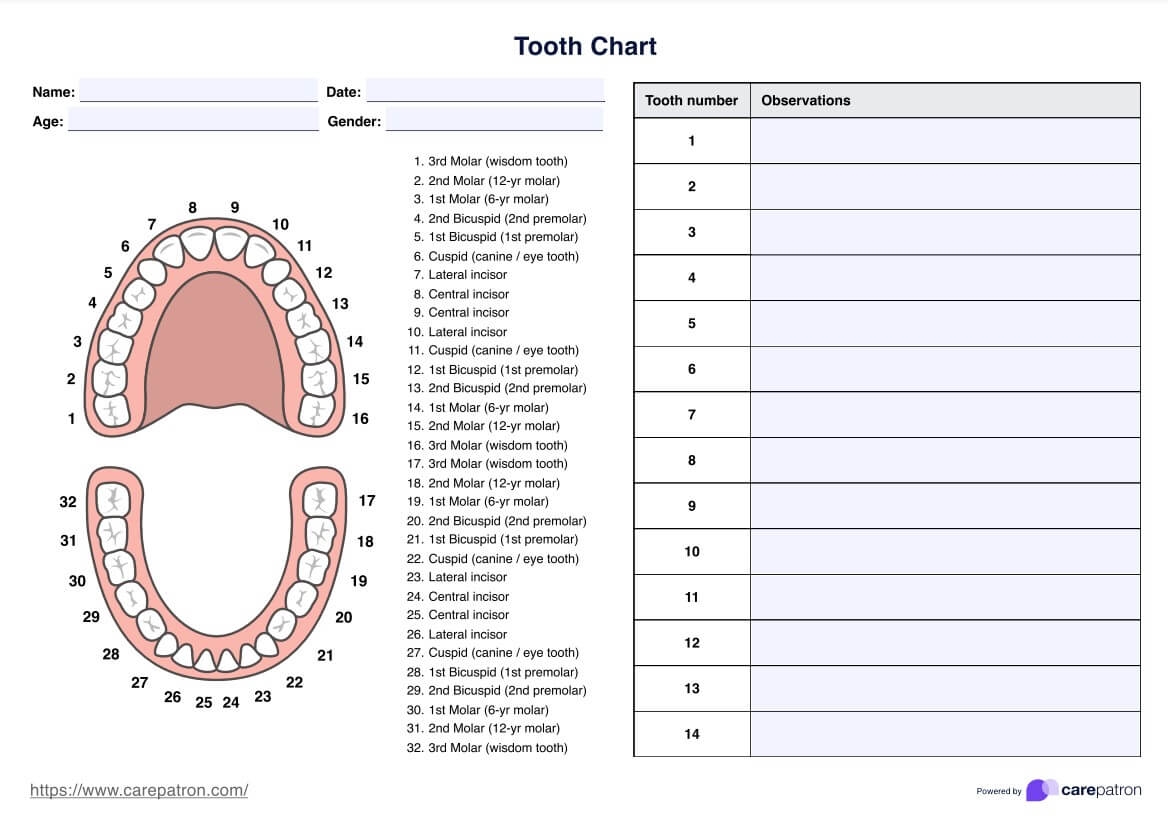 Printable Dental Chart