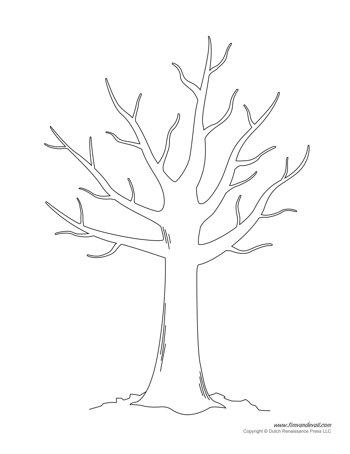 Blank Tree Template Printable