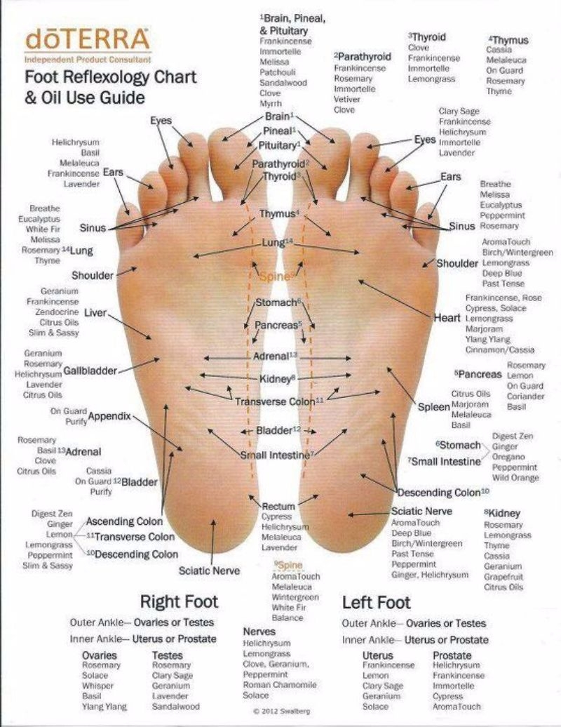31 Printable Foot Reflexology Charts Maps TemplateLab 31 Printable Foot Reflexology Charts Maps TemplateLab