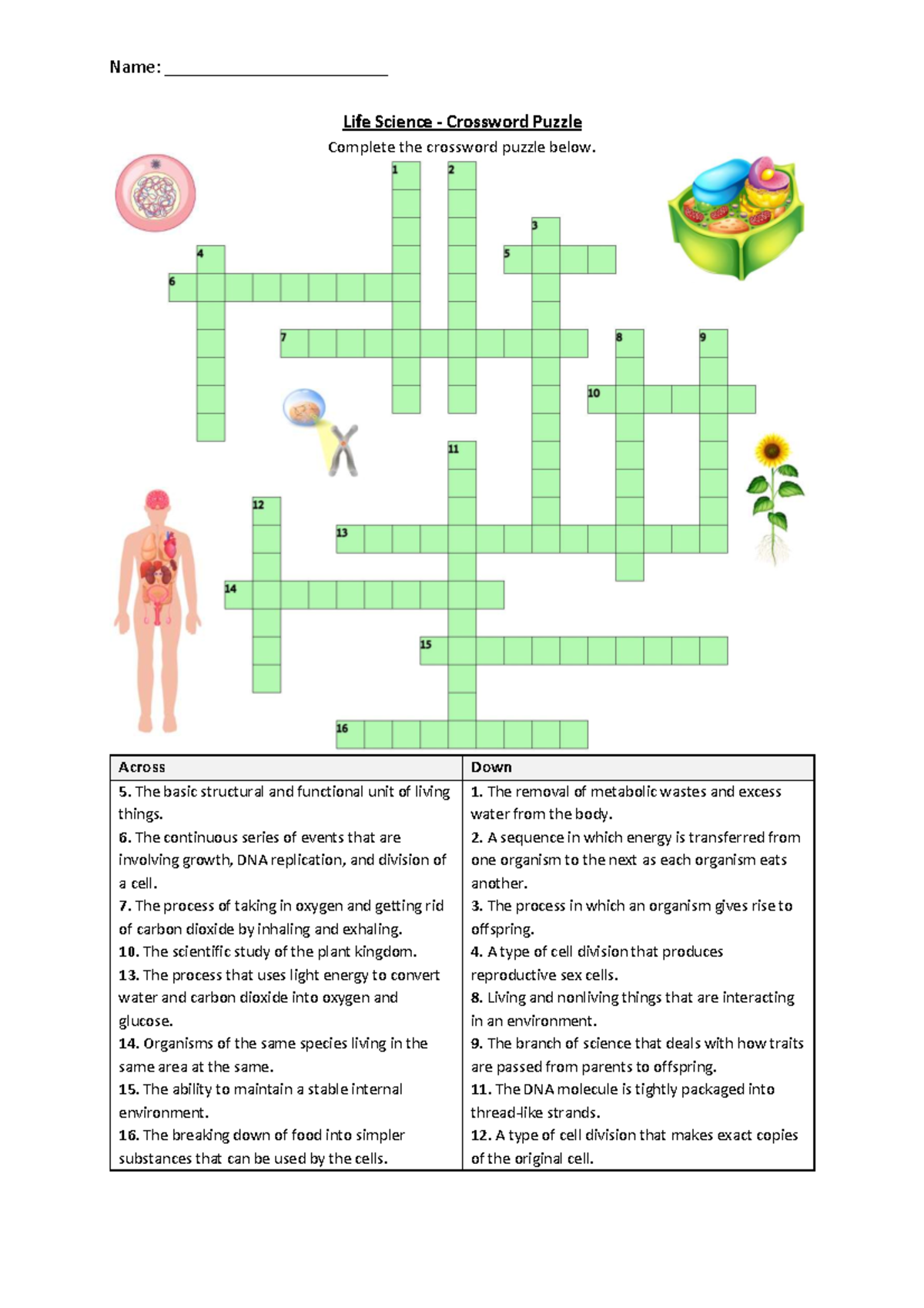 794623969 Life Science Crossword Puzzle Key Terms Concepts Studocu