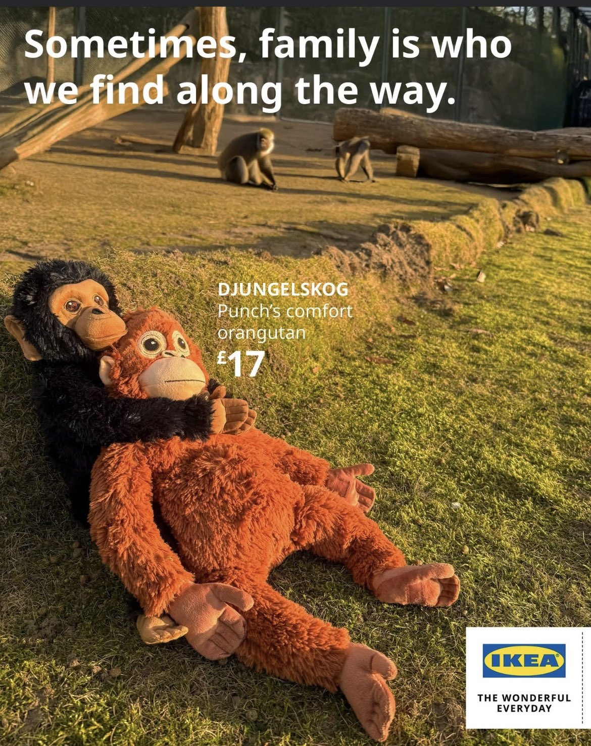 After Lonely Baby Monkey Goes Viral His Ikea Comfort Toy Sells Out