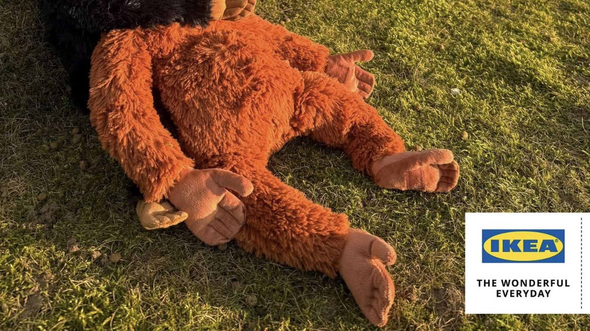 stuffed animals that go viral crossword