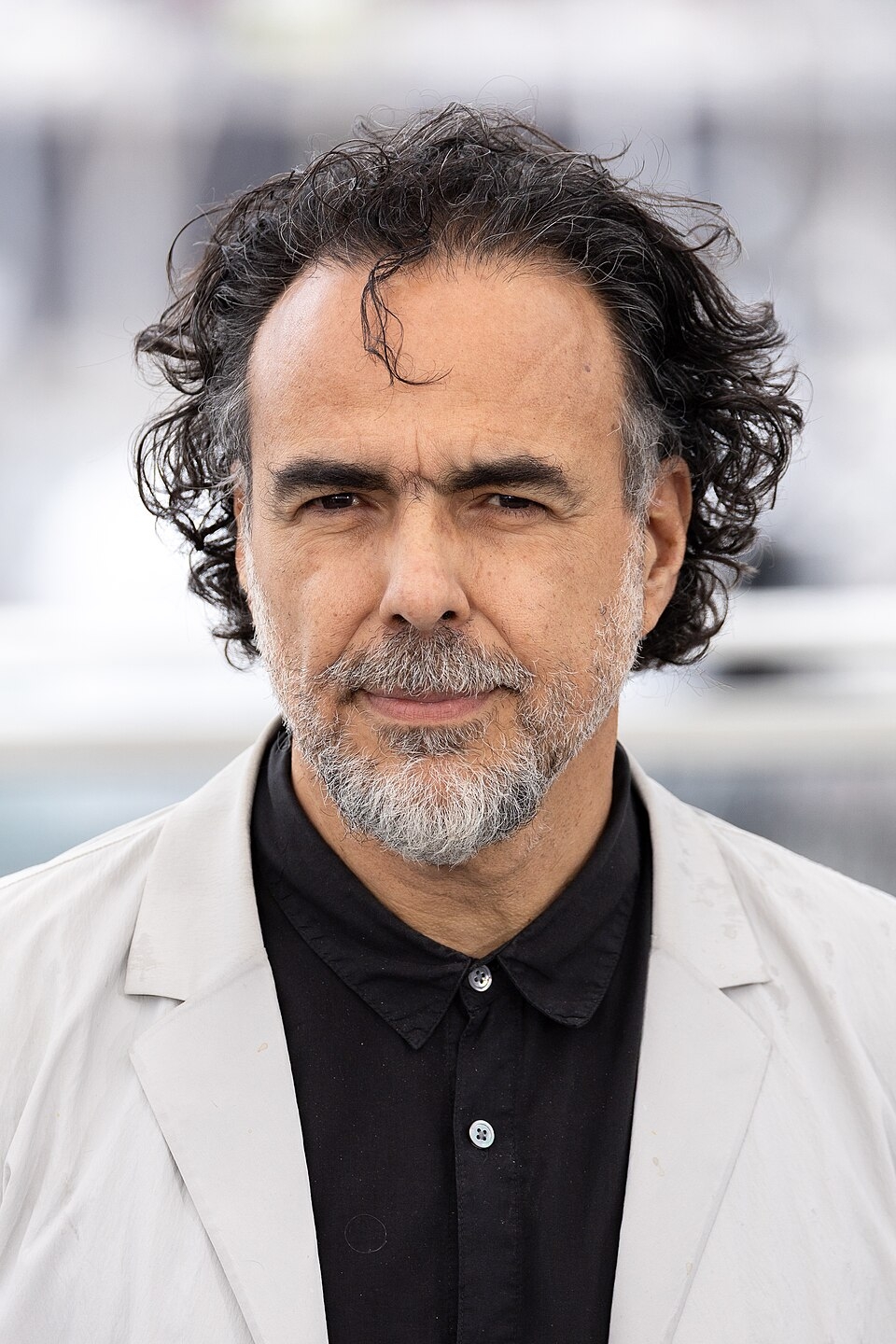 Alejandro Gonz lez I rritu Wikipedia