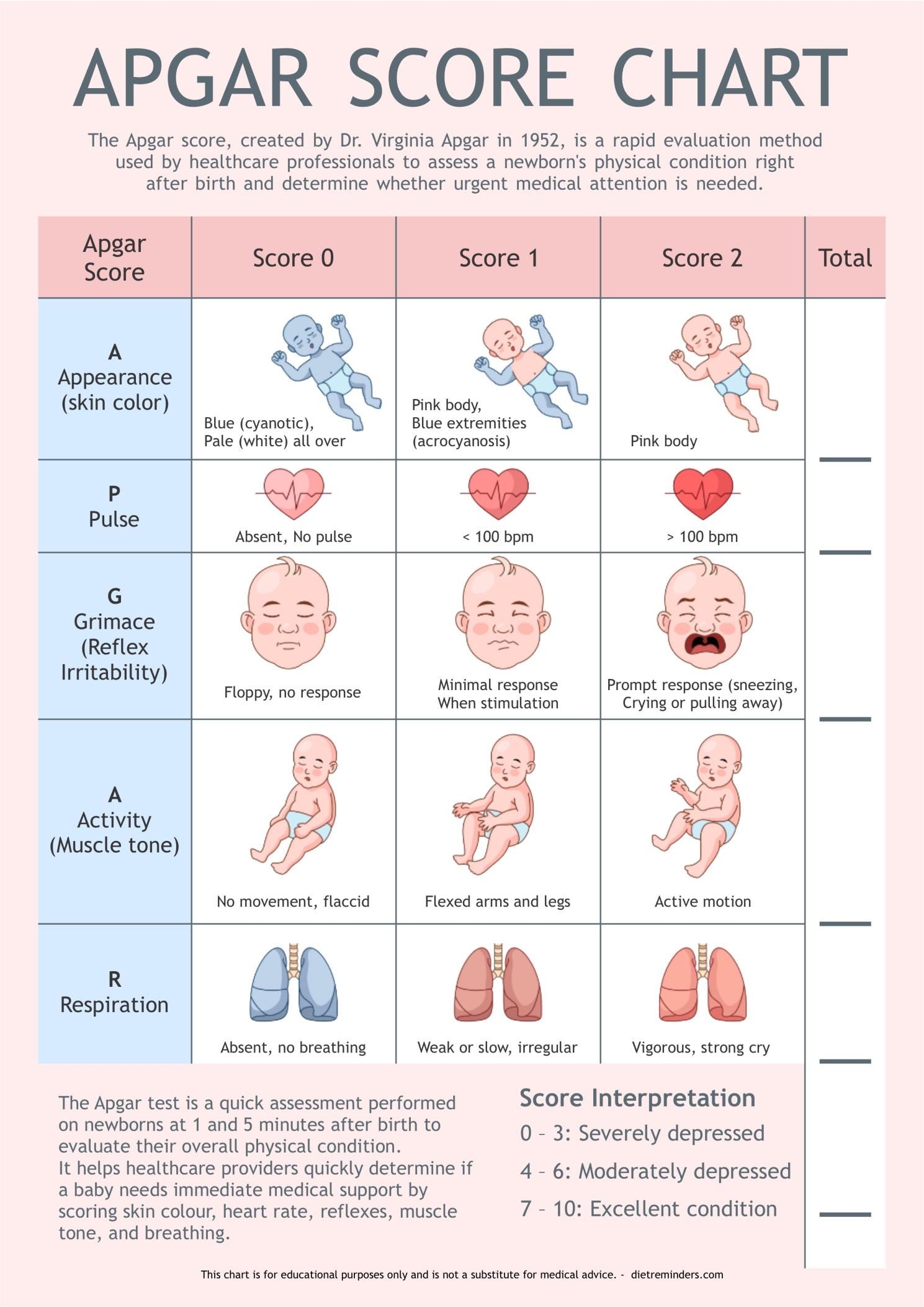 Apgar Score Chart Newborn Health Assessment Tool PDF Digital Download A4 Size Etsy Israel