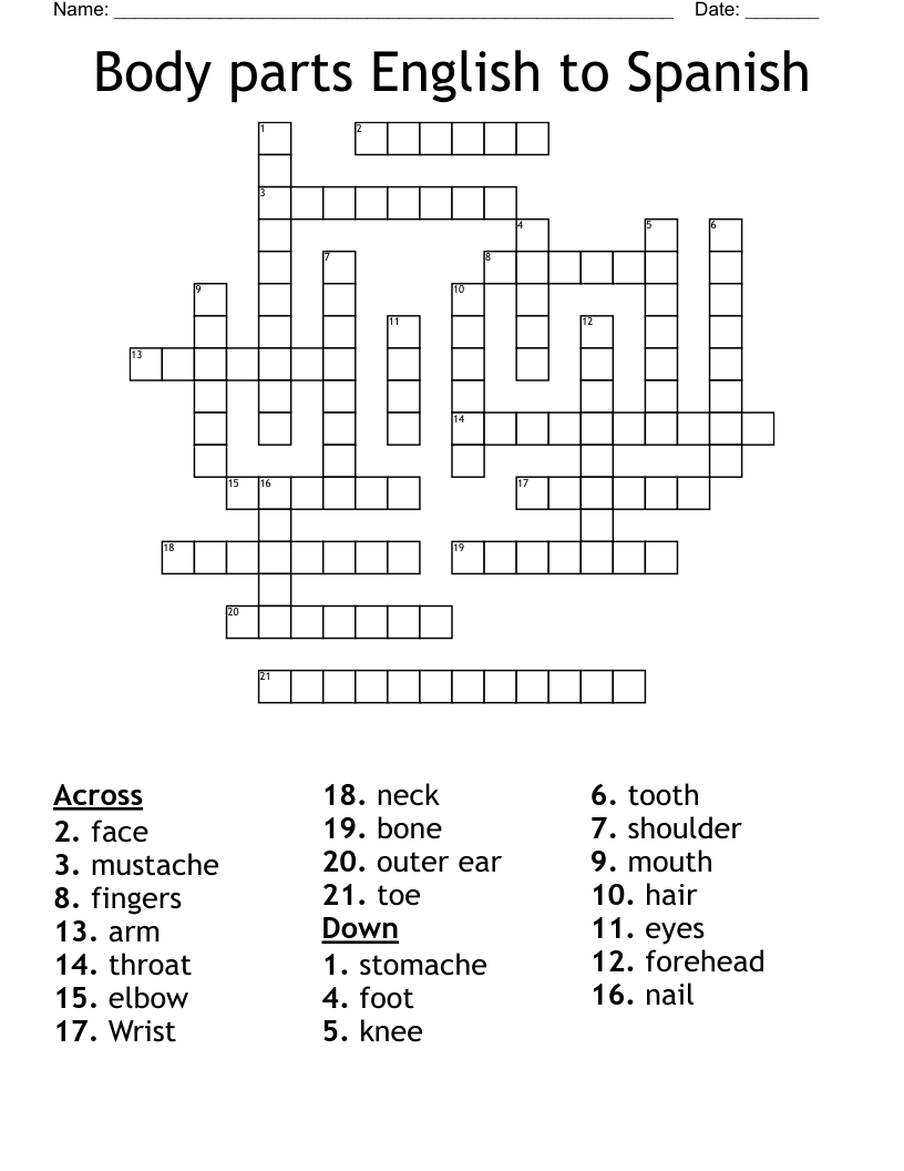 Body Parts English To Spanish Crossword WordMint Body Parts English To Spanish Crossword WordMint