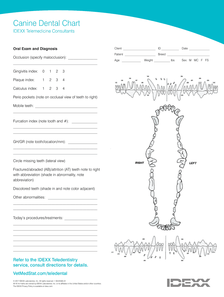 Canine Dental Chart Fill Out Sign Share Online PdfFiller Canine Dental Chart Fill Out Sign Share Online PdfFiller