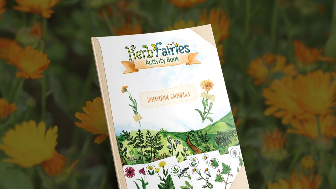 Discovering Calendula Free Herbal Activity Book