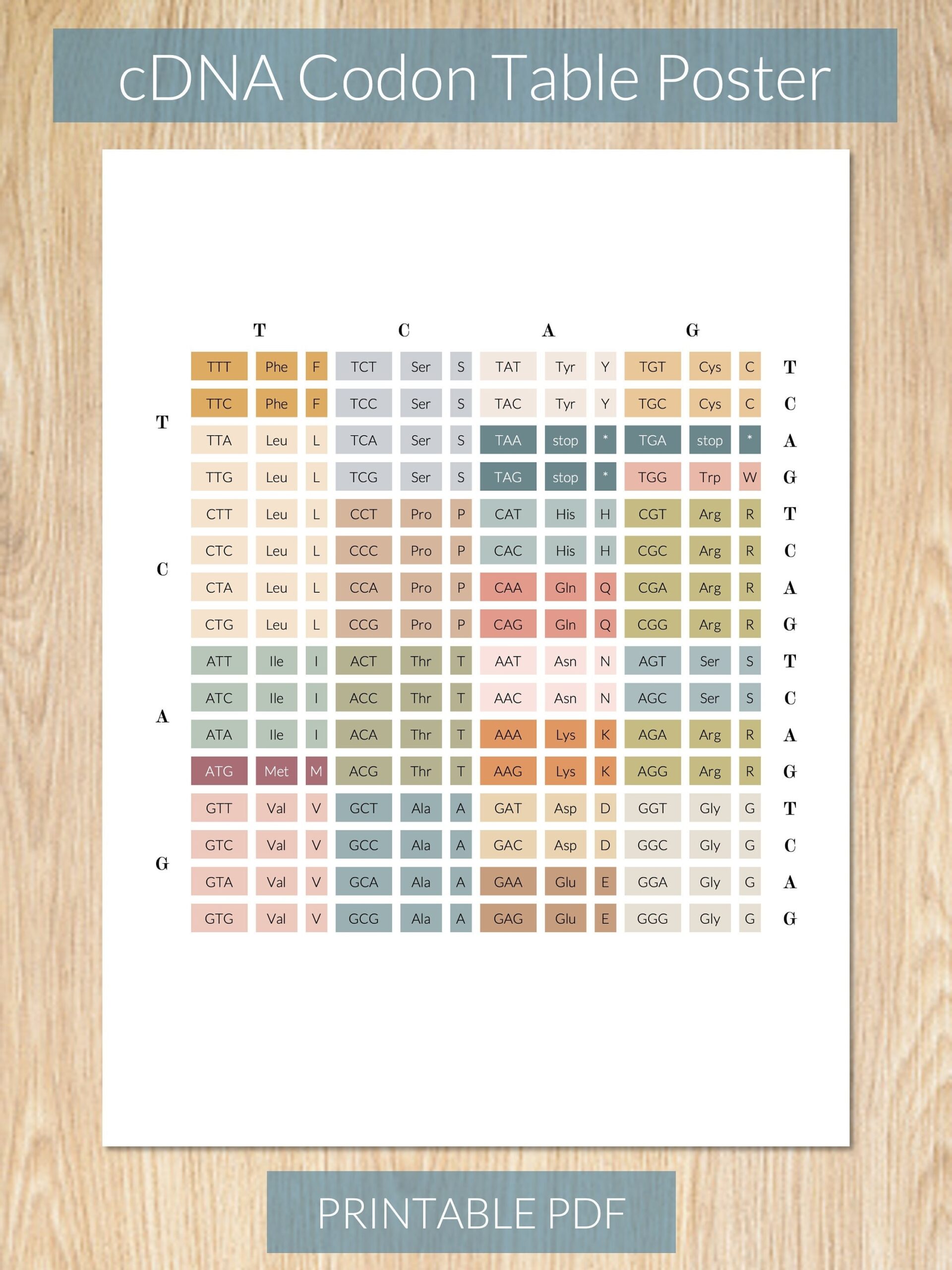 printable codon chart