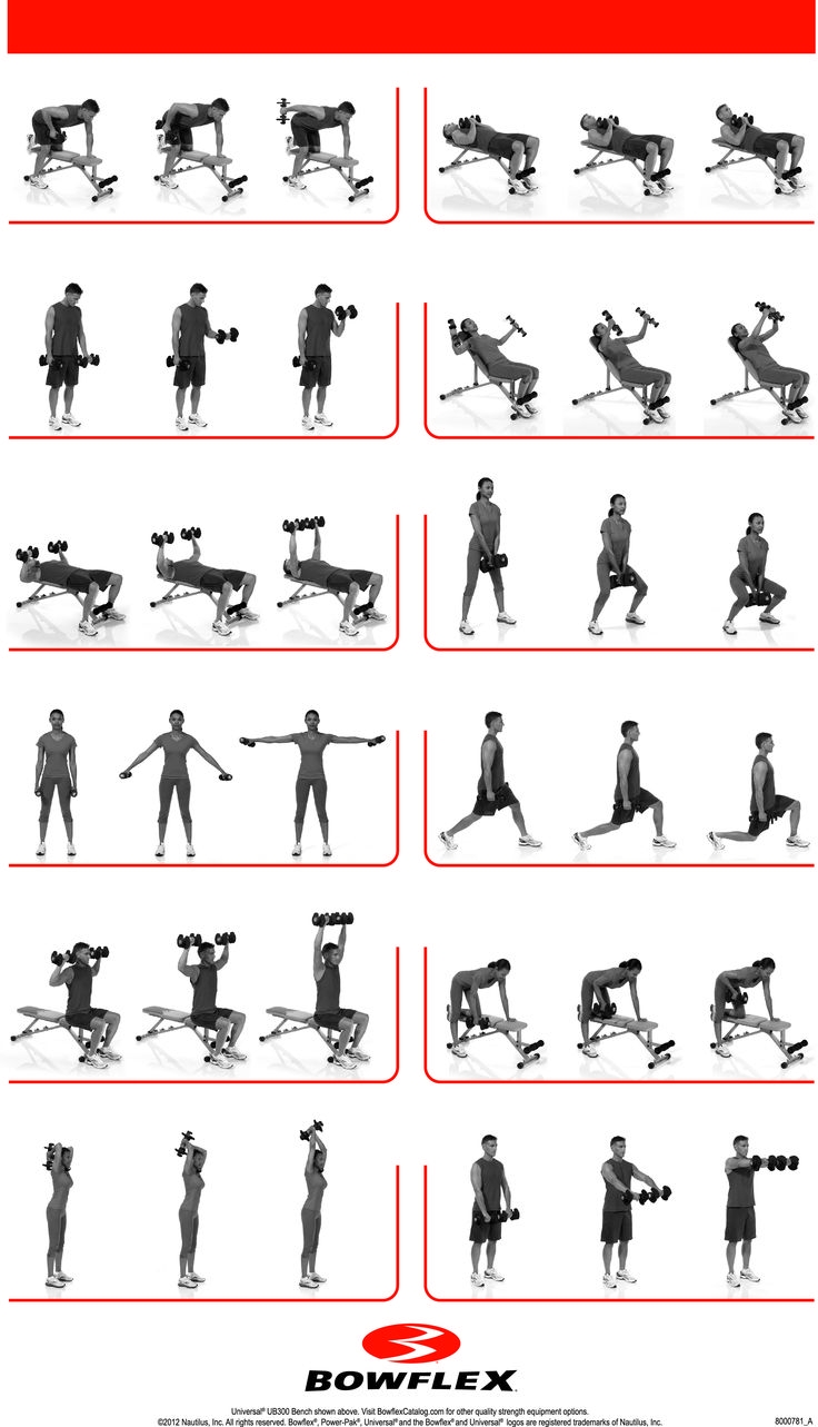 Dumbbell Exercises Chart 10 Free PDF Printables Printablee