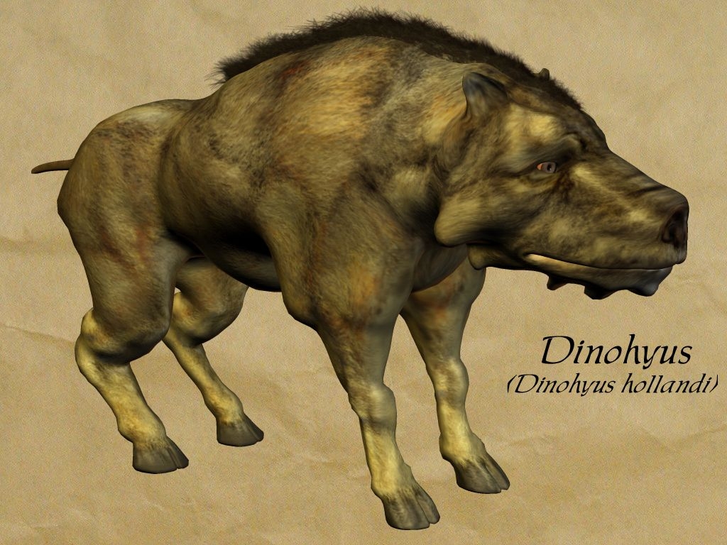 Entelodonts Facts About Giant Killer Pigs Live Science Entelodonts Facts About Giant Killer Pigs Live Science