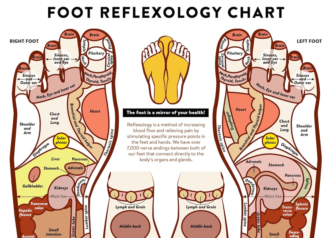 printable foot reflexology chart printable foot reflexology chart