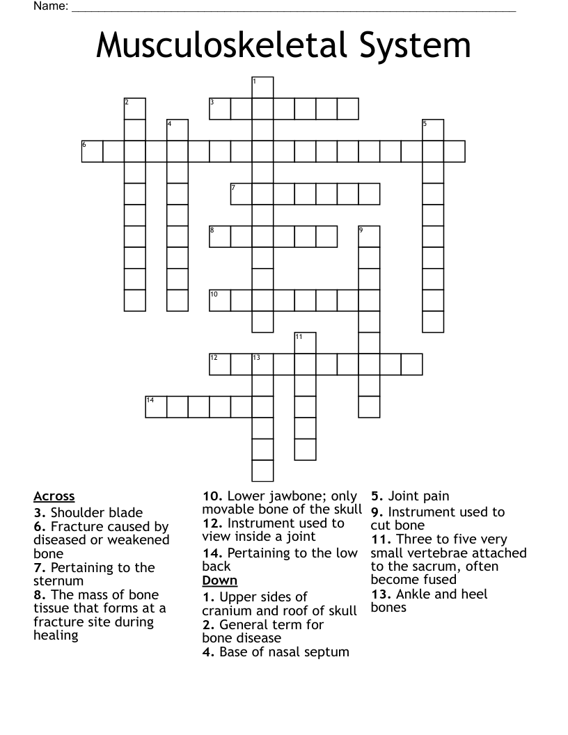 Fractures Crossword Puzzle WordMint