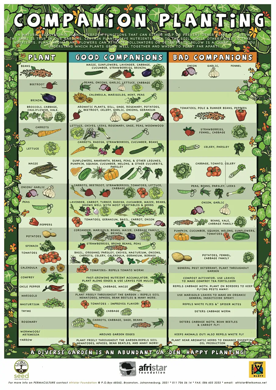 Free Companion Planting Chart PDFs Printable Guides World Water Reserve