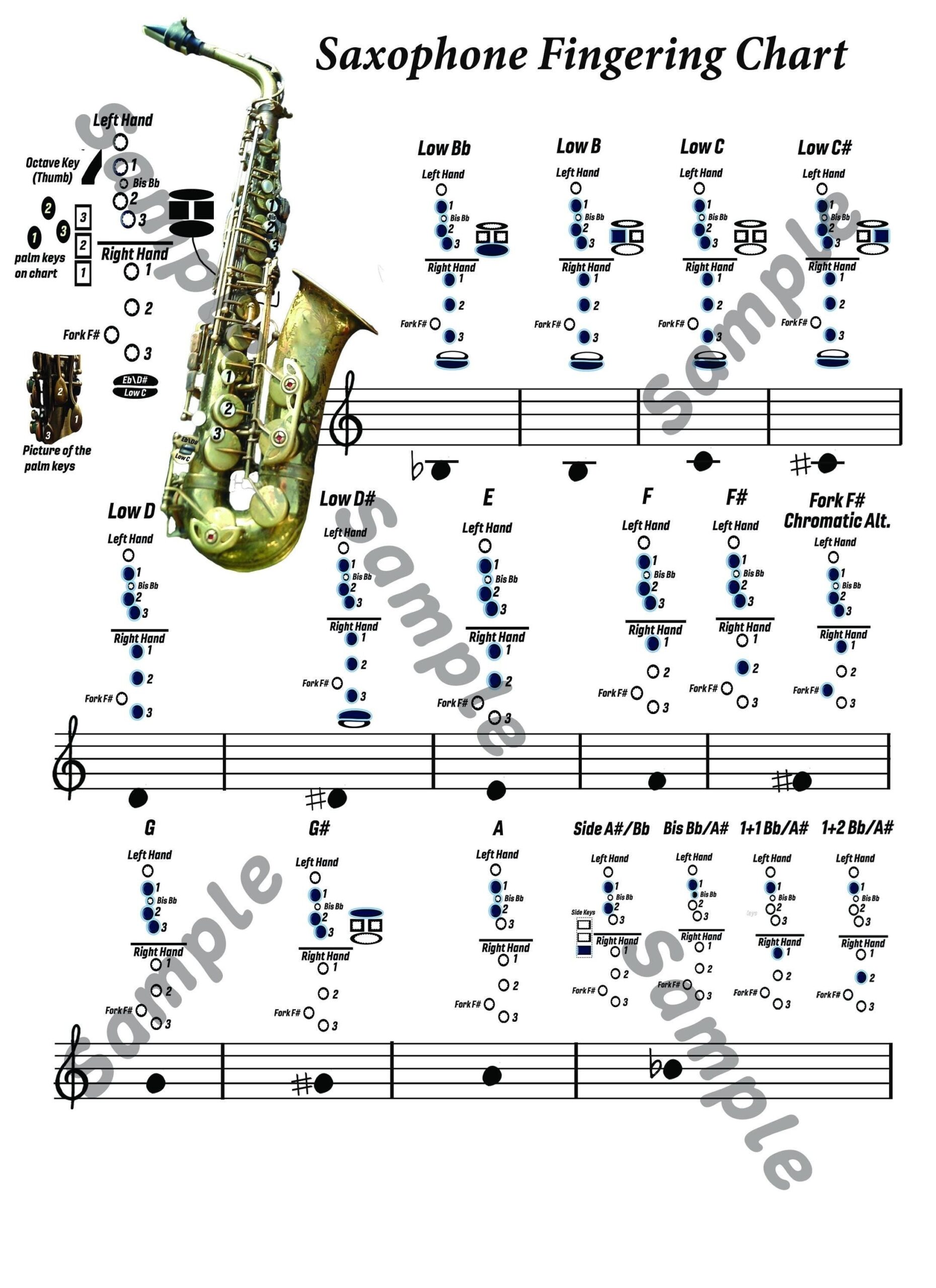 Full Range Alto Saxophone Fingering Chart From Low Bb To Altissimo D very High Notes Plus Printable Manuscript Paper Etsy Full Range Alto Saxophone Fingering Chart From Low Bb To Altissimo D very High Notes Plus Printable Manuscript Paper Etsy