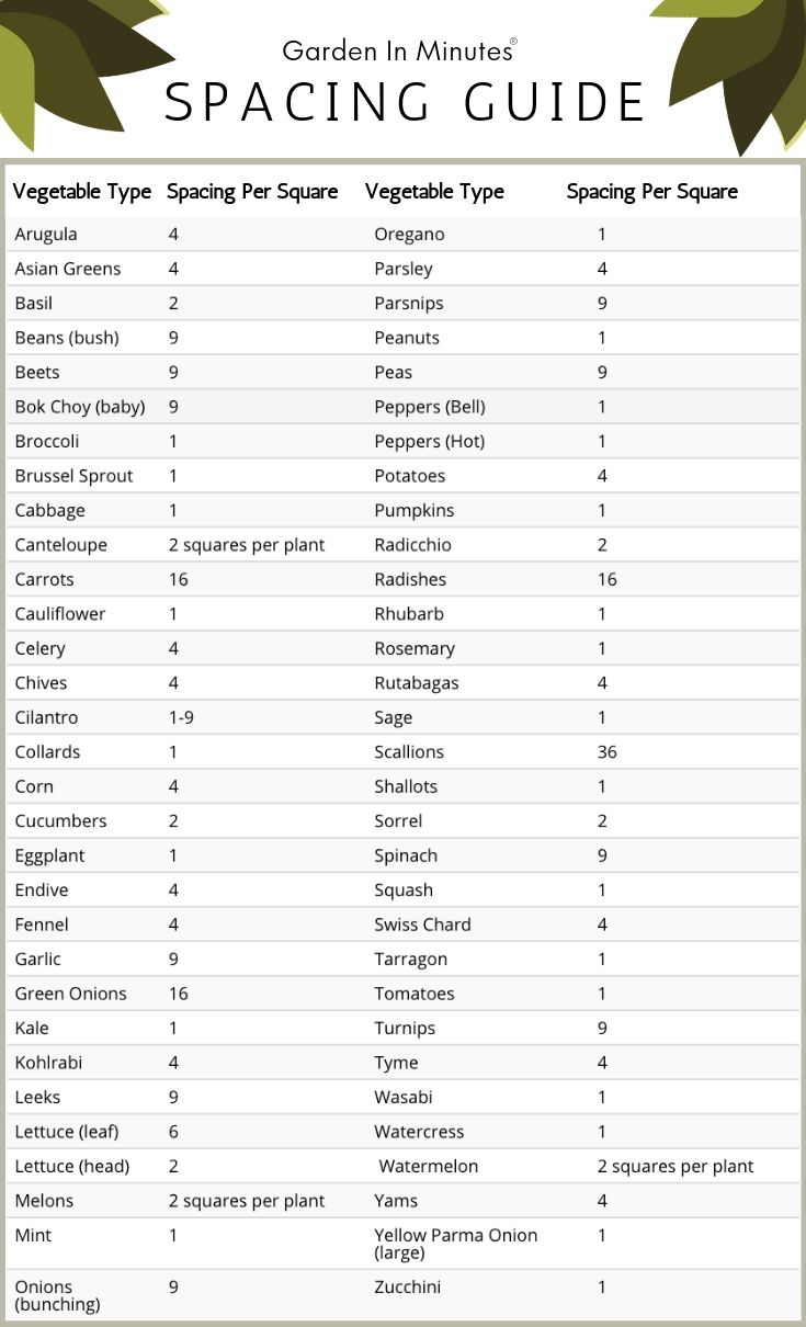 Garden Plant Spacing Guide For 60 Plants