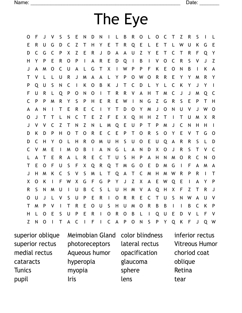 Images wordmint p The Eye 109649 png