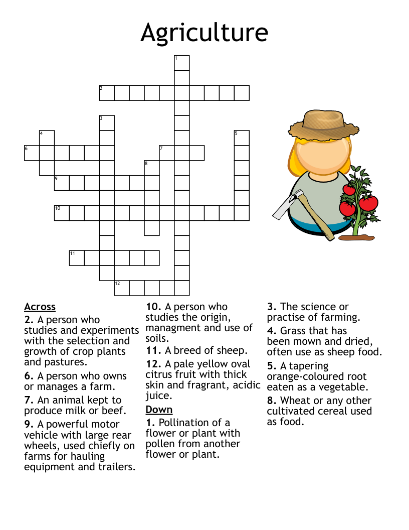 Mini Dictionary Project Crossword WordMint