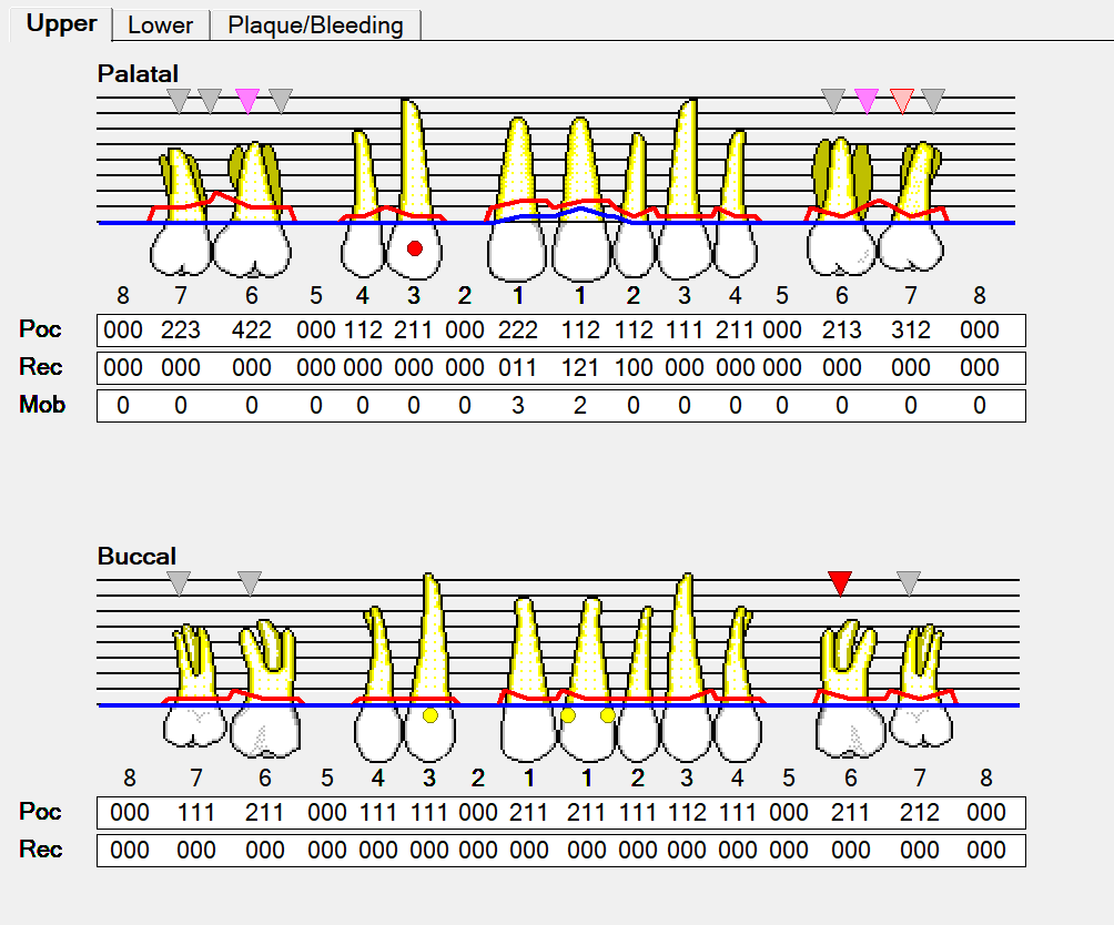 perio chart printable