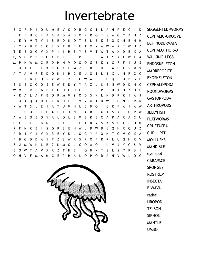 Parts Of A Horse Word Search WordMint