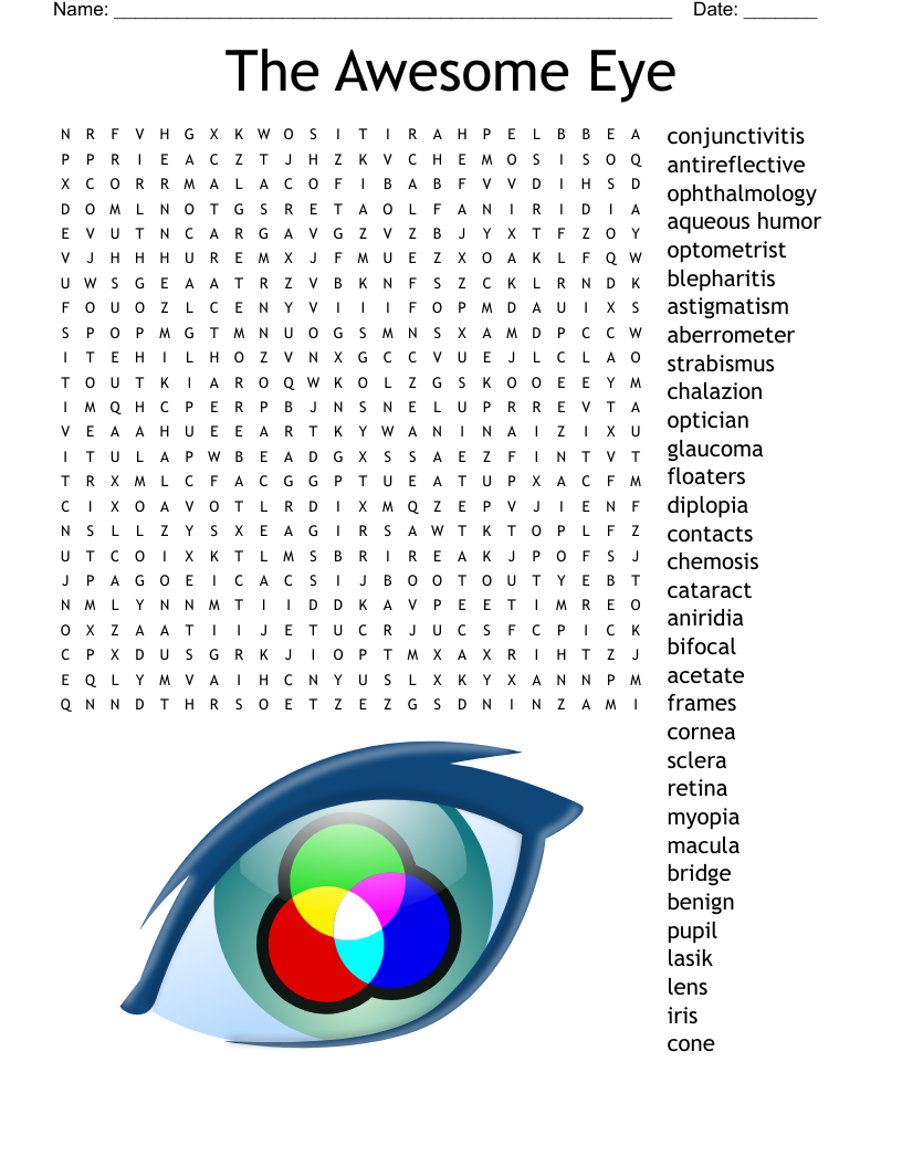 Parts Of The Eye Crossword WordMint