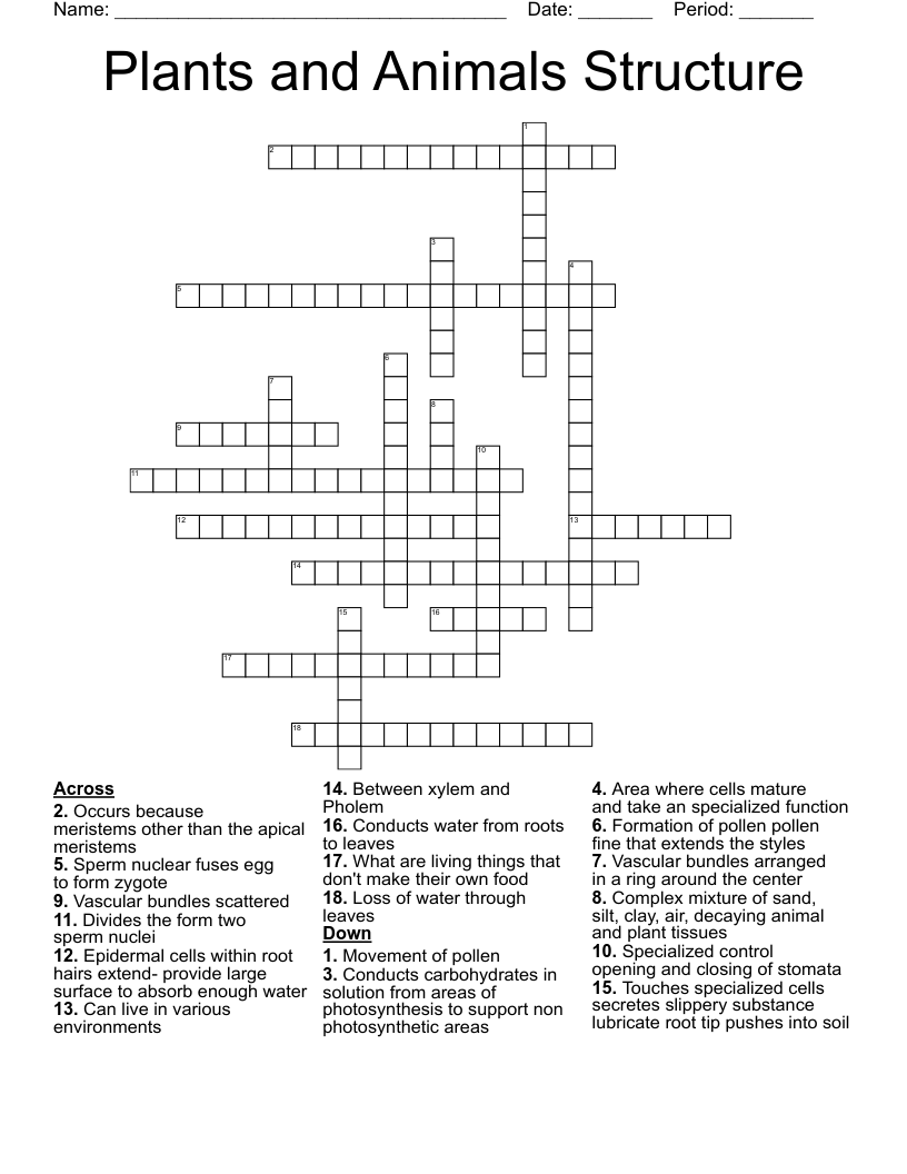 Plants And Animals Structure Crossword WordMint Plants And Animals Structure Crossword WordMint
