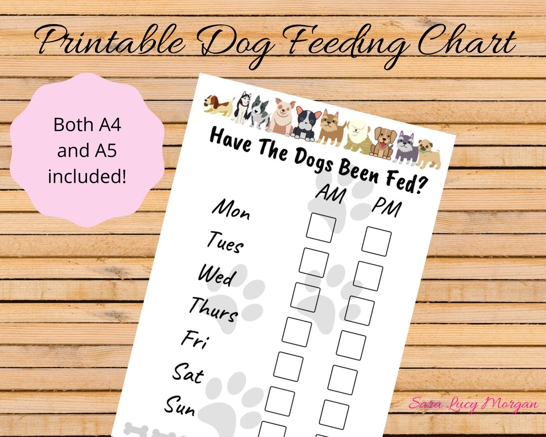 printable dog feeding chart printable dog feeding chart