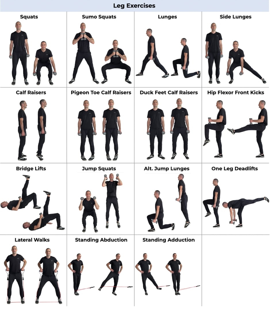 Printable Free Multi Gym Exercises Chart Total Gym 24 X 36 Convenient Quick Reference Exercise Chart Printable Free Multi Gym Exercises Chart Total Gym 24 X 36 Convenient Quick Reference Exercise Chart