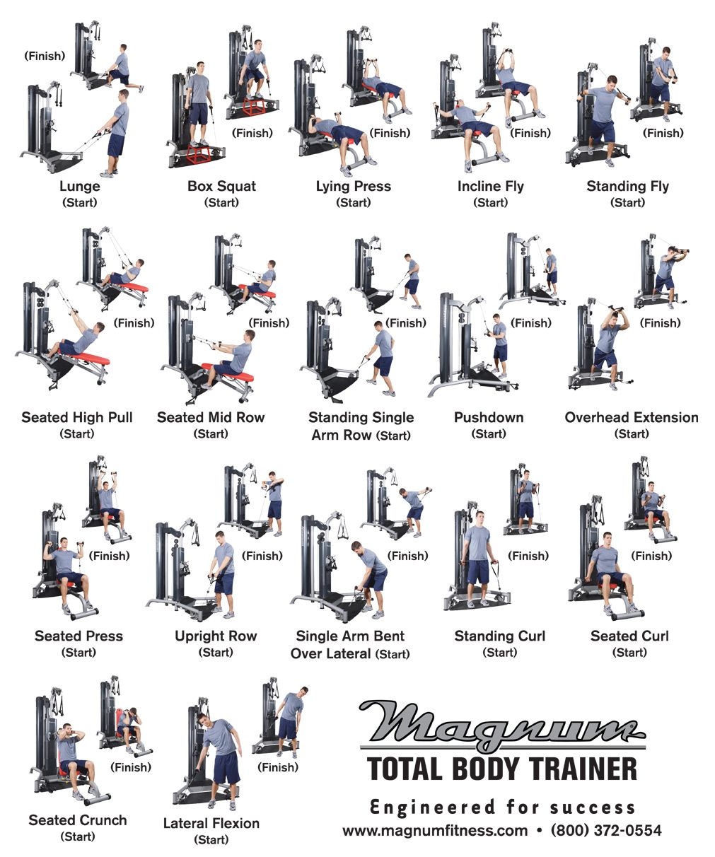 printable free multi gym exercises chart printable free multi gym exercises chart