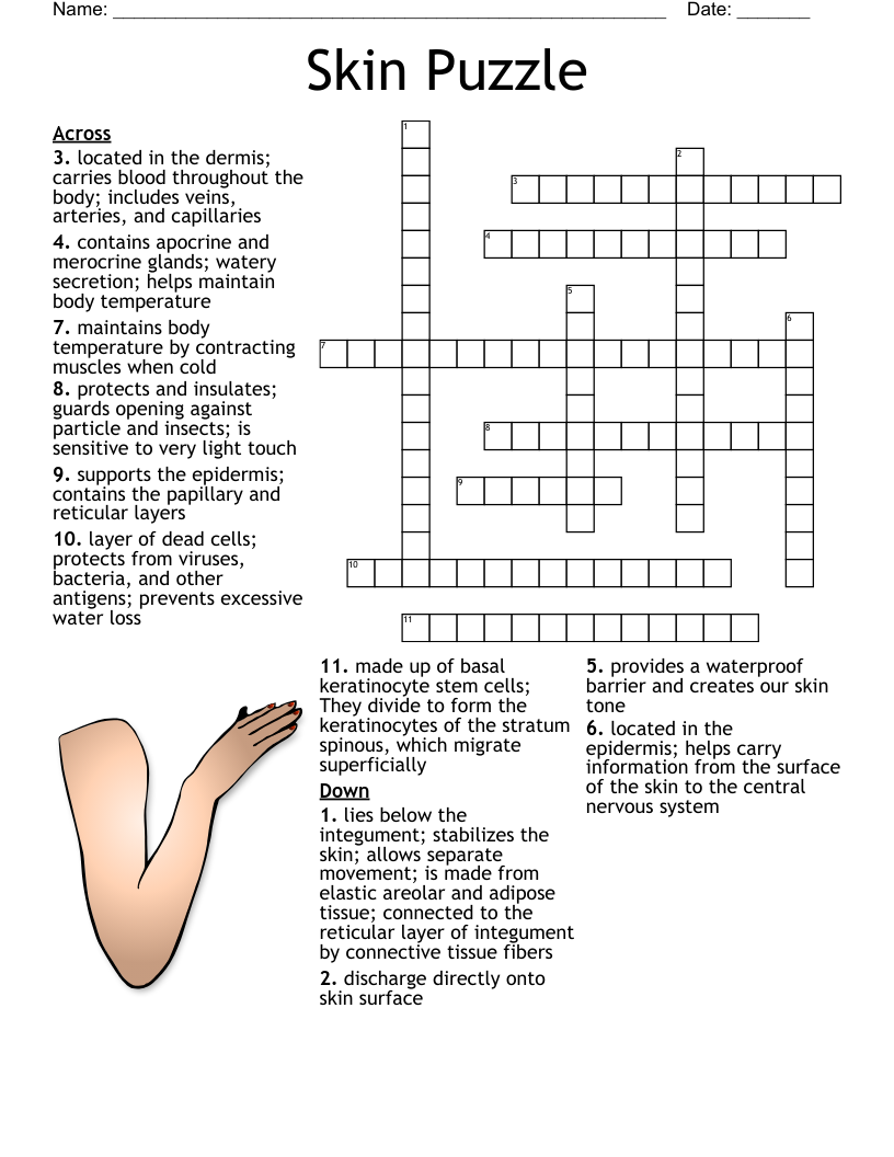 picture puzzle crossword clue